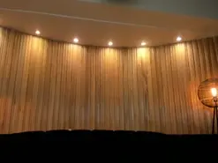 DominiqueVega  live sex cam