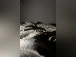 Liak39  live sex cam