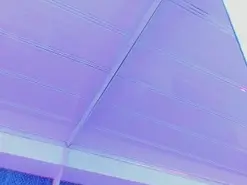 LeaMoreau  live sex cam