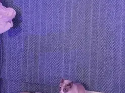 LeaMoreau  live sex cam