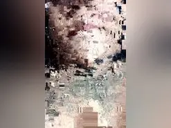 Lovetattoo  live sex cam
