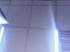 NikkiTorresSS  live sex cam