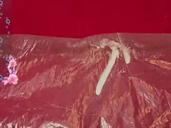 Queensquirtluna  live sex cam