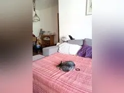 Soybrendarock  live sex cam