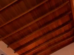 ValeriaRivera1  live sex cam