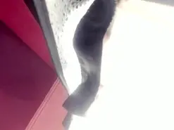 AlmaStone  live sex cam