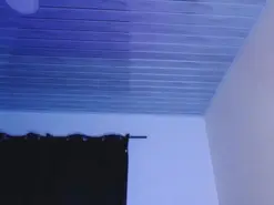 BrendaJames  live sex cam