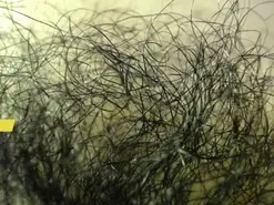 Amber_Naughtyx  live sex cam