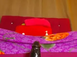 Swettbrown  live sex cam