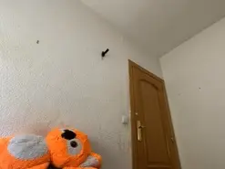 Paulalopez2  live sex cam