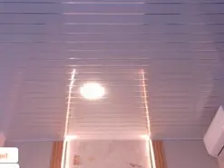 Megan-brown1  live sex cam