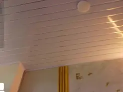 Megan-brown1  live sex cam