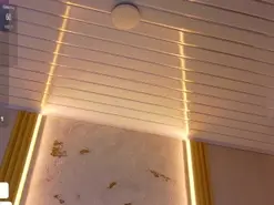 Megan-brown1  live sex cam