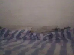 Tigra39  live sex cam