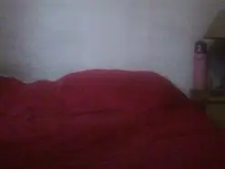 Tigra39  live sex cam