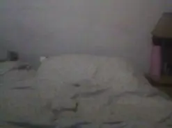 Tigra39  live sex cam