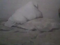 Tigra39  live sex cam