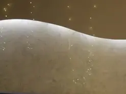 Willowhendrix  live sex cam