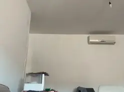 Ladyelegant  live sex cam