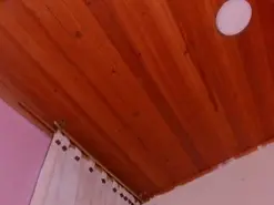 Cata_  live sex cam