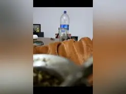 Bronco29  live sex cam