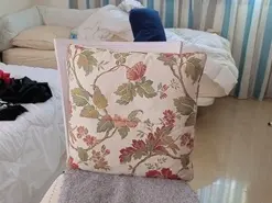 Monsee  live sex cam