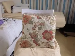 Monsee  live sex cam