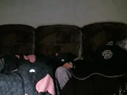 Lana555  live sex cam