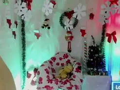 Kyomichang  live sex cam