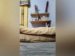 Lolipurple1  live sex cam