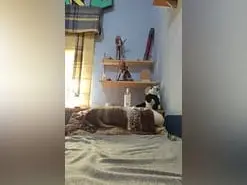 Lolipurple1  live sex cam