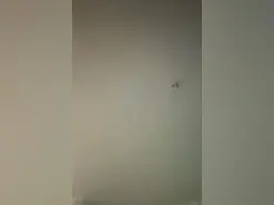 Rbk13013  live sex cam