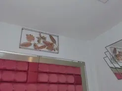 MarieeTaylor  live sex cam