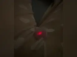 Prettysmiles  live sex cam
