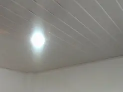 Patty_squirt  live sex cam