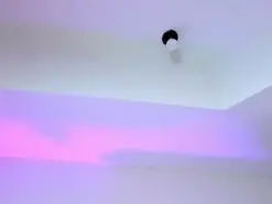 AbbieJones  live sex cam