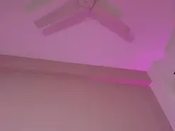 AbbieJones  live sex cam