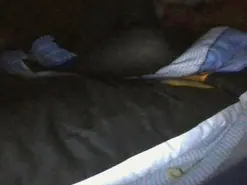 Strechygirl777  live sex cam