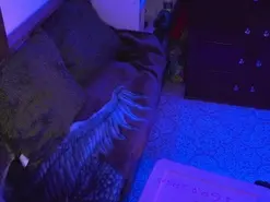 Madurahot4  live sex cam