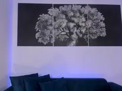MollySunders1  live sex cam