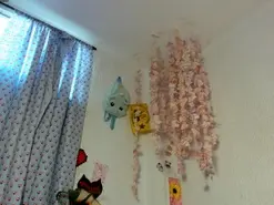 Kuutar  live sex cam