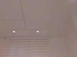 PaulineSanz  live sex cam