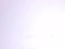 Mystery_psique  live sex cam