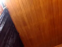 ArianaFenix  live sex cam