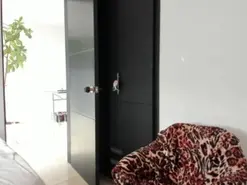 Ailis9o  live sex cam