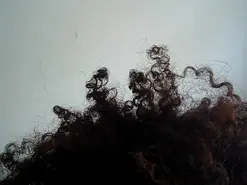 Isa_bellaxx2  live sex cam