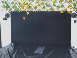 Vparisper  live sex cam