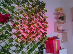 Alice_rous21  live sex cam