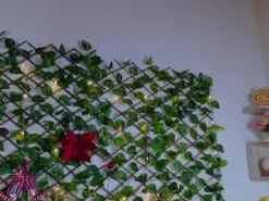 Alice_rous21  live sex cam