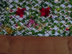 Alice_rous21  live sex cam